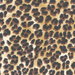 Premier Prints Amazon Sand Canvas Fabric
