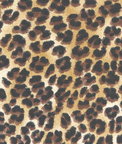 Premier Prints Amazon Sand Canvas Fabric