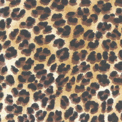 Premier Prints Amazon Sand Canvas Fabric