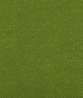 Kravet Ames Moss Fabric
