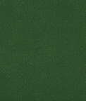 Kravet Ames Forest Fabric