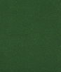 Kravet Ames Forest Fabric