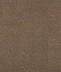 Kravet Ames Elephant Fabric