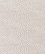 Scott Living Arnava Dune Luxe Canvas