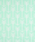 Premier Prints Arrow Mint Twill Fabric