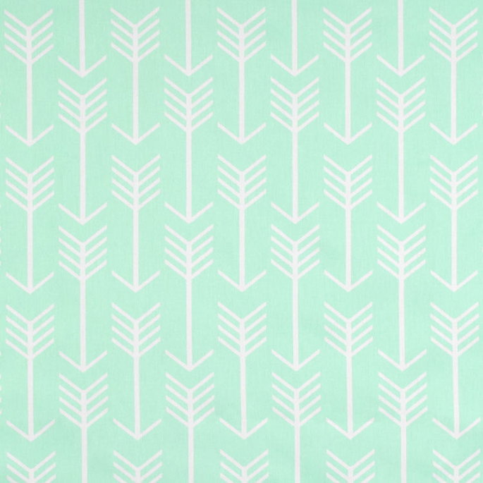 Premier Prints Arrow Mint Twill Fabric image 1 of 3