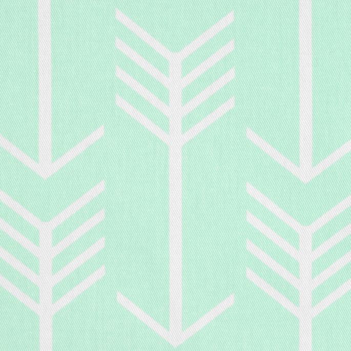 Premier Prints Arrow Mint Twill Fabric image 2 of 3