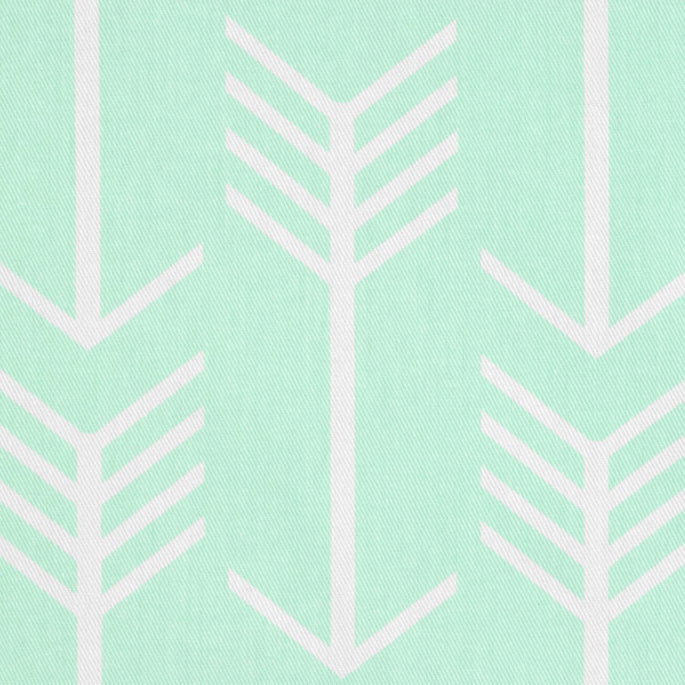 Premier Prints Arrow Mint Twill Fabric image 2 of 3