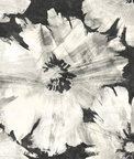 Seabrook Designs Curie Abstract Floral Metallic Ebony Wallpaper