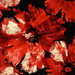 Seabrook Designs Curie Abstract Floral Metallic Gold & Crimson Wallpaper