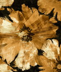 Seabrook Designs Curie Abstract Floral Metallic Gold & Ebony Wallpaper