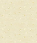 Seabrook Designs Hubble Dots Metallic Champagne Wallpaper