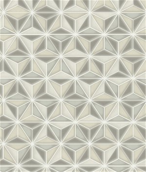 Seabrook Designs Einstein Geometric Metallic Silver Wallpaper