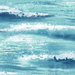 Seabrook Designs Moseley Waves Metallic Blue & White Wallpaper