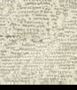 ABBEYSHEA Tiger 601 Stucco Fabric