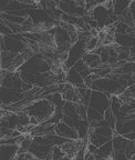 Seabrook Designs Paint Splatter Gray Glitter & Ebony Wallpaper