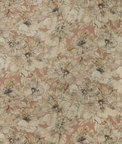 Kravet Ayrlies Blush/Natural Fabric