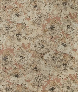 Kravet Ayrlies Blush/Natural Fabric