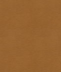 Kravet BALARA.16 Fabric