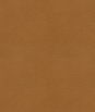 Kravet BALARA.16 Fabric