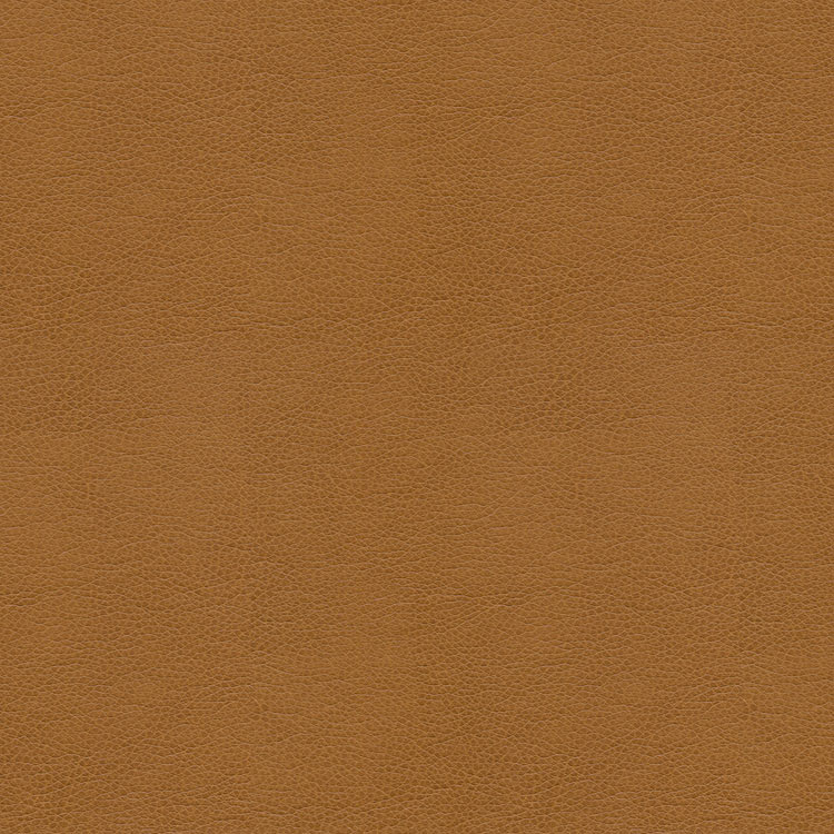 Kravet BALARA.16 Fabric