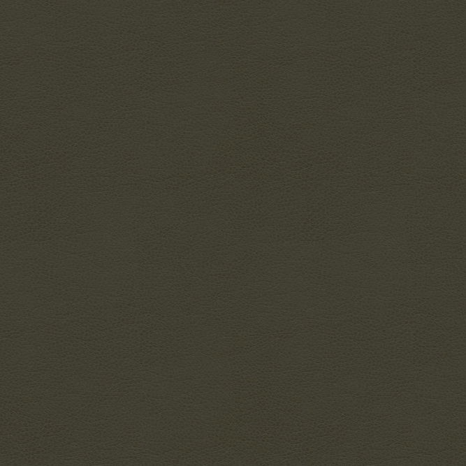 Kravet BALARA.21 Fabric