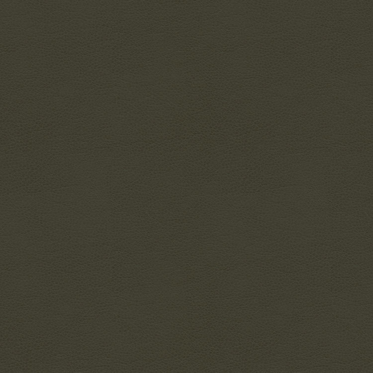 Kravet BALARA.21 Fabric