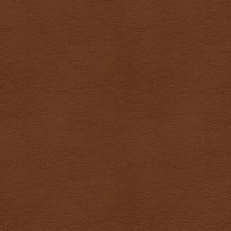 Kravet BALARA.6 Fabric