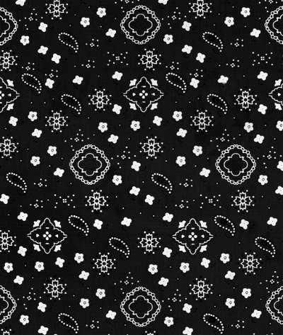 Black Bandana Print Fabric