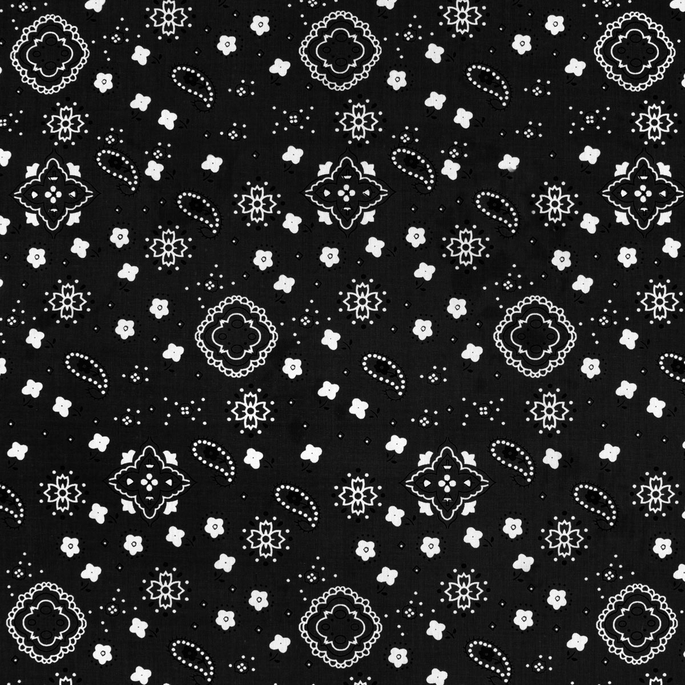 Black Bandana Print Fabric image 1 of 2