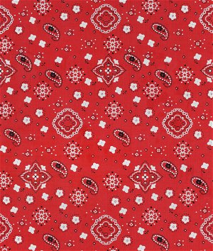 Red Bandana Print Fabric