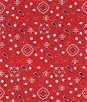 Red Bandana Print Fabric