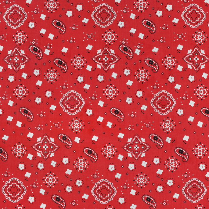Red Bandana Print Fabric image 1 of 2