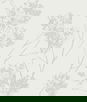 Seabrook Designs Wild Grass Chardonnay Wallpaper