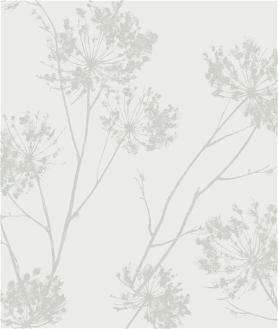 Seabrook Designs Wild Grass Chardonnay Wallpaper