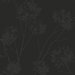 Seabrook Designs Wild Grass Midnight Galaxy Wallpaper