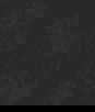 Seabrook Designs Wild Grass Midnight Galaxy Wallpaper
