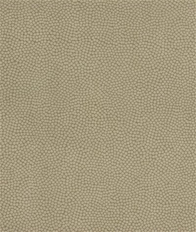 Kravet Beautymark Greystone Fabric