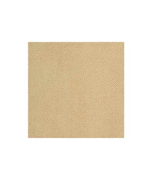 Kravet Beautymark Sandstone Fabric