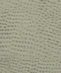 Kravet BELUS.135 Fabric