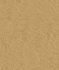 Kravet BELUS.1616 Fabric