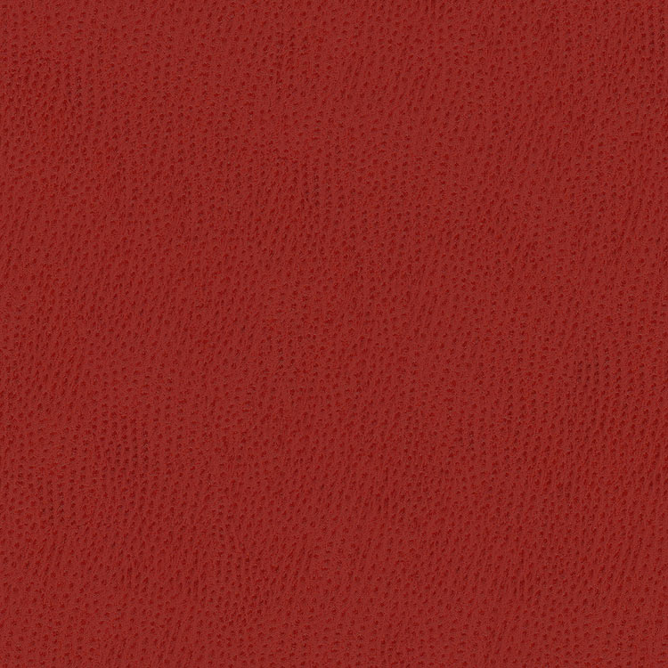 Kravet BELUS.19 Fabric