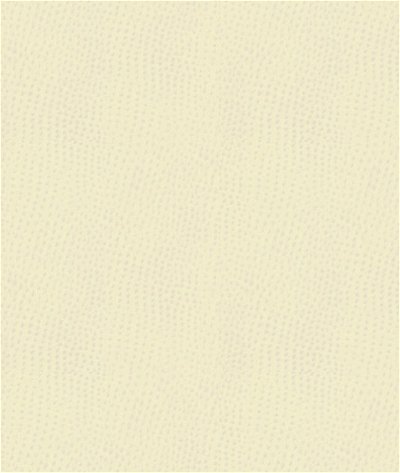 Kravet BELUS.1 Fabric
