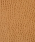 Kravet BELUS.4 Fabric