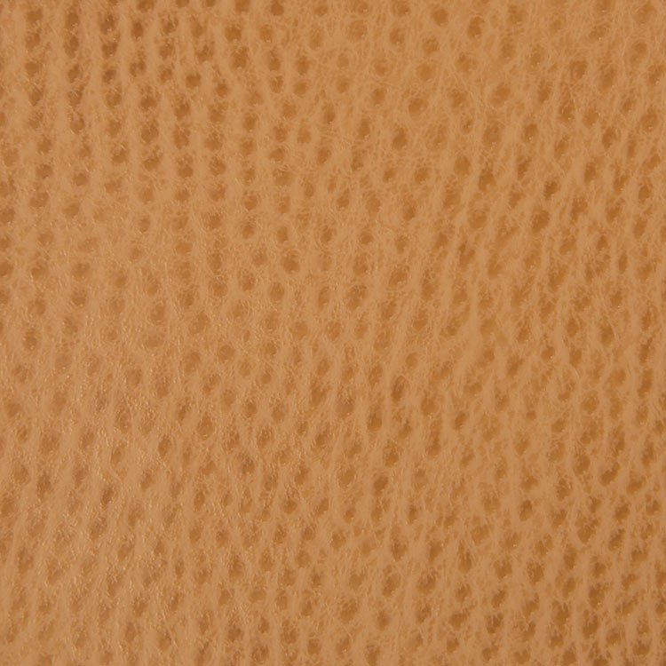 Kravet BELUS.4 Fabric