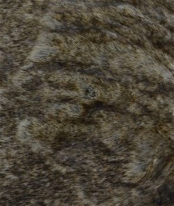 ABBEYSHEA Fox 87 Bronze