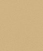 Kravet BESS.16 Fabric