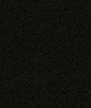 Kravet BESS.8 Fabric