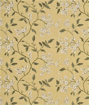 GP & J Baker Apple Blossom Silk Mimosa/Ivory Fabric