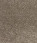 GP & J Baker King's Velvet Mink Fabric